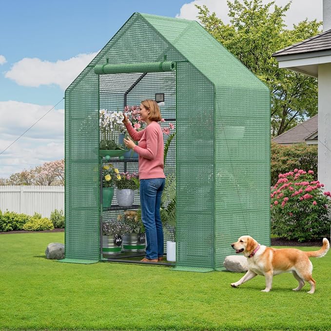 Greenhouse for Outdoors, Portable Green House, Walk in Greenhouses with Durable PE Cover, 57 x 29 x 76 inch Greenhouse with Shelves Stands,Green