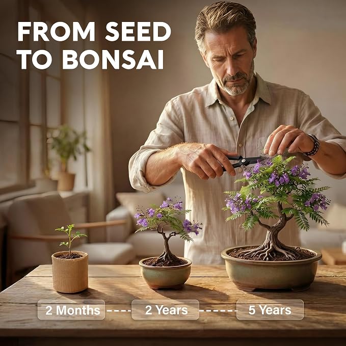 AVERGO Bonsai Tree Kit Deluxe + Growing Light - 5X Unique Japanese Bonzai Trees | Complete Indoor Bonsai Starter Kits for Growing Trees – DIY Gardening Gifts for Mother, Women & Men