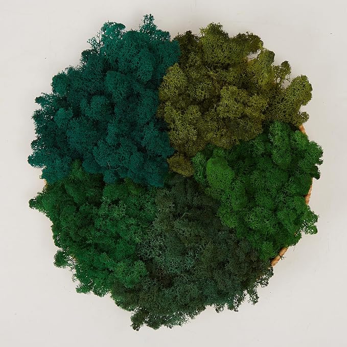 Preserved Reindeer Moss Natural Green DIY Kit Gardenning Art Wall Decor Florist Decor Easter Table Decor Wedding