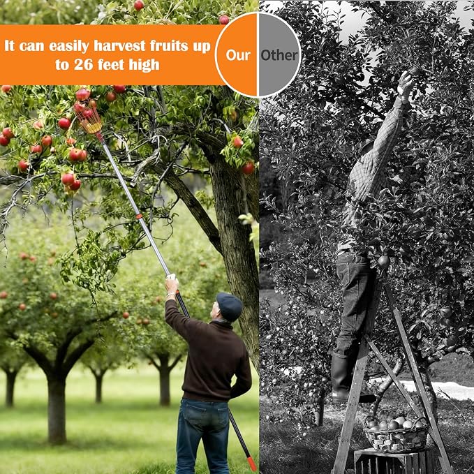 26FT Reach Fruit Picker Pole with Basket Telescoping, Lightweight Aluminum Apple Picker Extension Pole, Fruit Catcher for Trees, for Apple Orange Lemon Mango Avocado Pear Fruit Picking