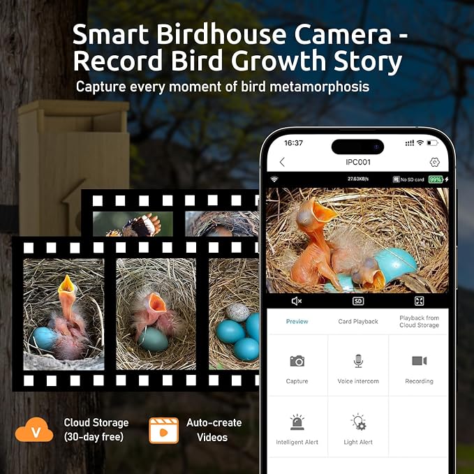 Bird House with Camera Solar Powered, 1080HD Live Video & Night Vision for 24/7 Nesting Recording, Auto Detect & Notify, Waterproof Bamboo,smart Bird House Camera for Backyard Birdwatching