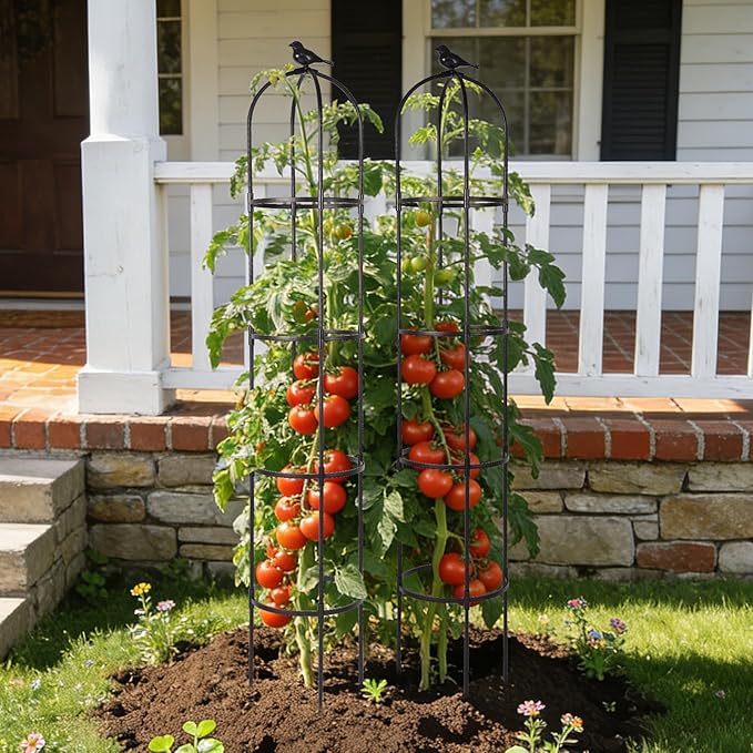 OTOSUNNY Garden Obelisk Trellis for Climbing Plants Outdoor, 6.3 ft Tall Trellis for Roses Clematis Jasmine Ivy Flower Light Climbing Vines Potted Plant Support, Patio, Yard, Black, 2PCS