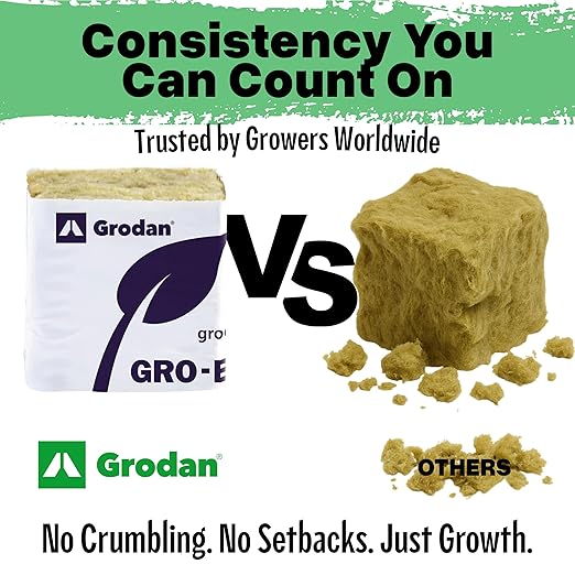Grodan 1.5" Rockwool Mini Blocks – 45 Pack Rockwool Cubes for Hydroponics, Seed Starter & Cloning + 5 THCity Stakes