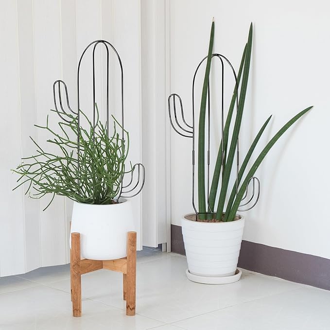 Plant Trellis for Climbing Plants Indoor, Cactus Trellis for Potted Plants, Pothos Hoya Monstera Metal Houseplant Climbing Support for Garden Balcony, 2P