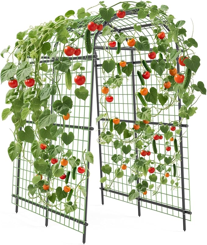 Metal Garden Arch Trellis, 7.6Ft Black for Raised Beds, Plant Support for Cucumbers & Climbing Vegetables with 9 Horizontal Pipe