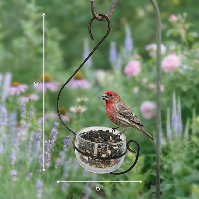 Clear Glass Hanging Bird Feeder - Removable Bowl for Mealworms, Jelly, Nectar, Seed & Fruit - Decorative Wire Hook - Versatile Outdoor Treat Feeder for Bluebirds, Orioles & More