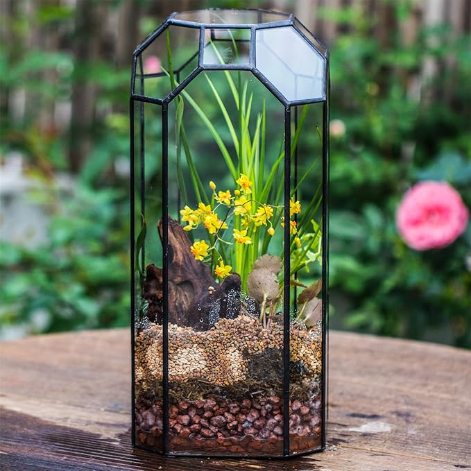 NCYP No Door Glass Geometric Terrarium for Plant, Succulent, Cacti - 5.5"x5.5"x12.8" Indoor Tall Octagon Glass Planter, Home Garden Office Decoration, Micro Landscape (Terrarium Only)
