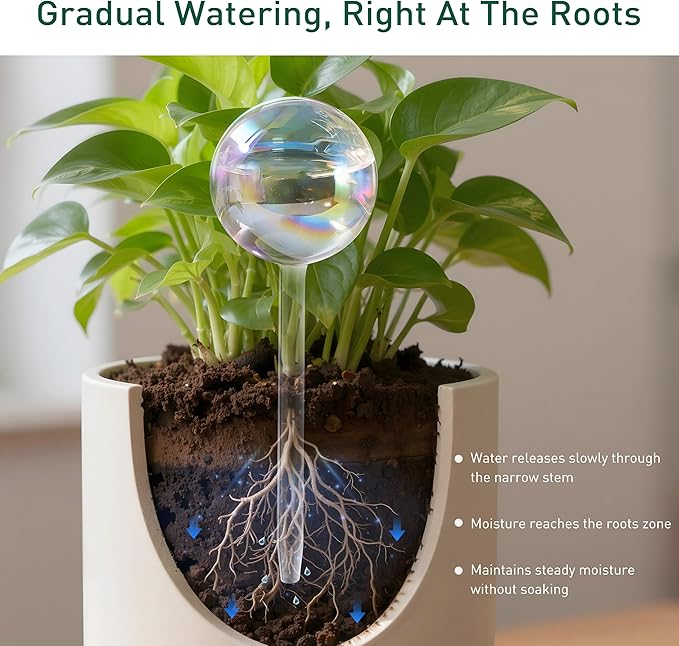 Soilagua Extra-Thick Clear Glass Plant Watering Globes, Rainbow Gradient Self Watering Globes, Automatic Plant Waterer, Self Watering Planter Insert Spikes Devices for Everyday or Vacation Use, 6-Pack