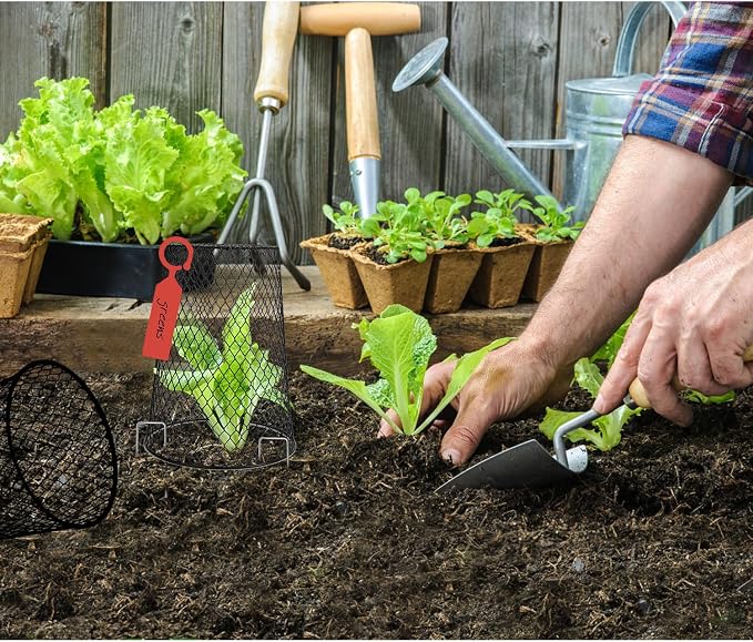 20 Pcs 6.8"×7.4" (Multiple Sizes/Quantities Available) Seedling Plant Protectors from Animals, Chicken Wire Plant Cage Garden Cloche to Protect Plants Vegetables from Rabbits Squirrels Chicken ﻿