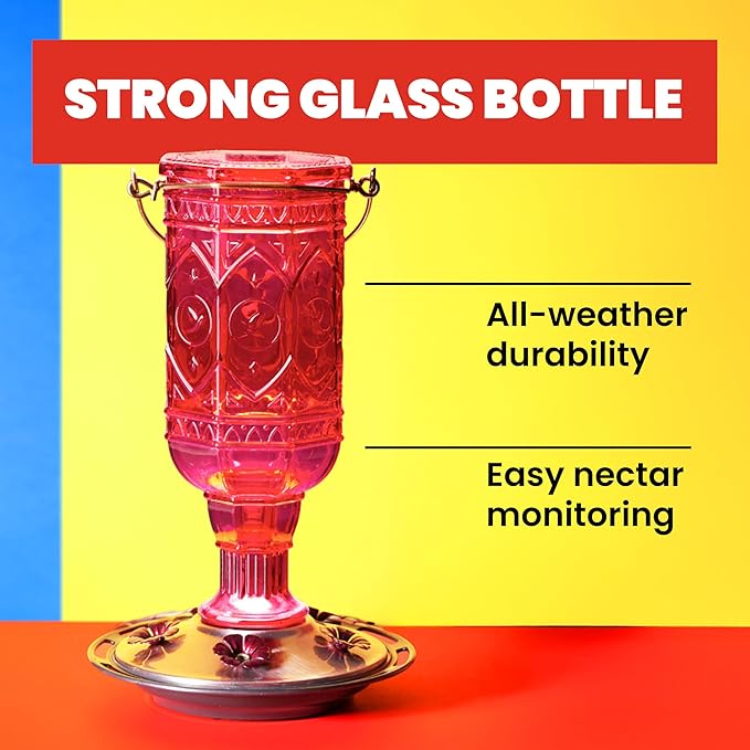More Birds Red Jewel Hummingbird Feeder, Glass Bottle, 5 Feeding Ports and 20-Ounce Nectar Capacity (76IN)