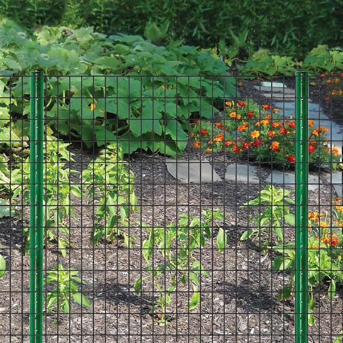 Wire Fence 36in x 50ft, 2 x 3 Inch 16GA, Garden Fence Garden Border Fencing Roll Vinyl Coating Metal Wire Mesh Hardware Cloth for Yard Vegetable Plant Protection Poultry Netting
