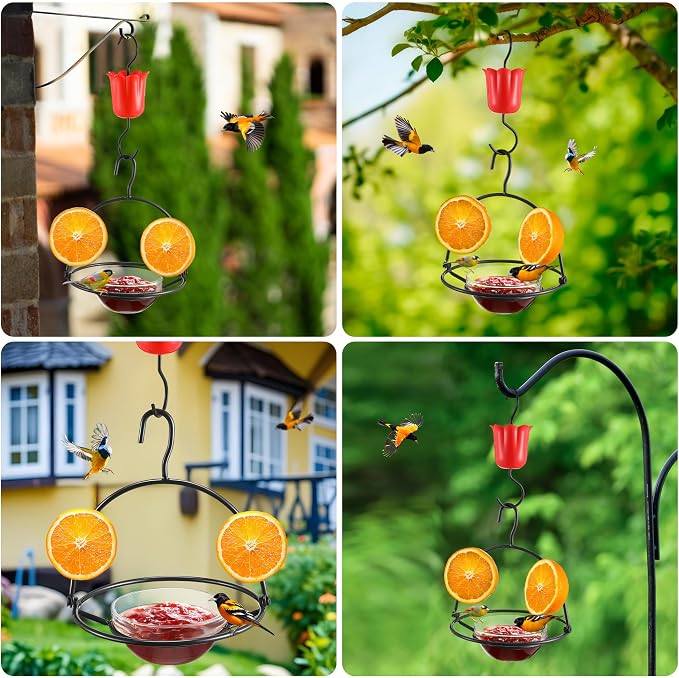 2 Pack Metal Oriole Feeders for Outdoors Hanging with Ant Moat and Fruit Holder, Oriole Feeder with Glass Bowl, Easy to Disassemble and Wash, Bird Feeder for Garden, Outdoor, Gift(Black)