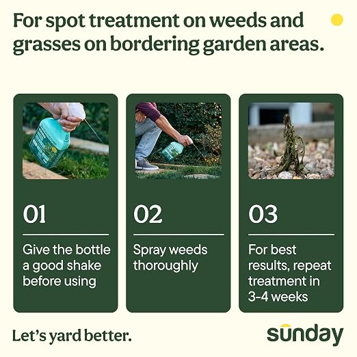 Sunday Weed Warrior, 32oz, 2 Pack - Grass & Weed Killer - Organic, Ready-to-Use Weed Killer Spray - Herbicide Spot Treatment - Kills Weeds, Grass, Algae and Moss