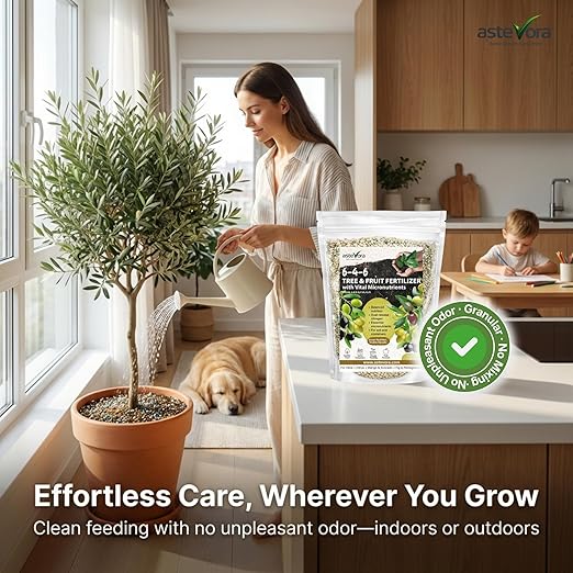 Olive Tree Fertilizer – Fruit Tree Fertilizer for Olive Tree, Citrus, Lemon, Lime, Fig, Avocado, Mango, Apple & Pomegranate – for Potted & Outdoor Trees (2 quarts - 4 lbs.)