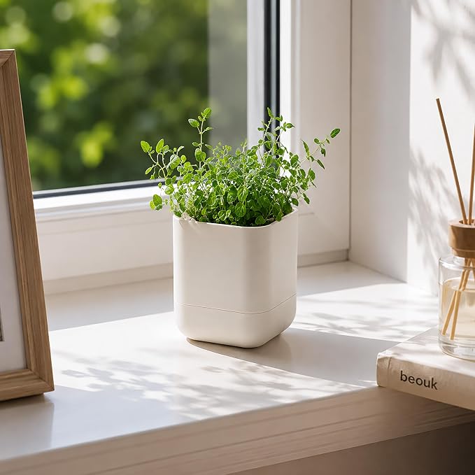 Phoenix Vine 3.5 Inch Wall Mounted Self-Watering Planter Pot for Indoor Houseplants and Herbs | Hanging Planter for Window Sills, Bathroom Walls, Home & Office Décor, Oatmeal, Set of 1, 01-A-G-1