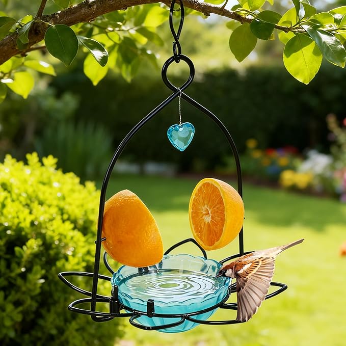 FORUP Oriole Bird Feeder, Orange Fruit Oriole Feeder (Blue)