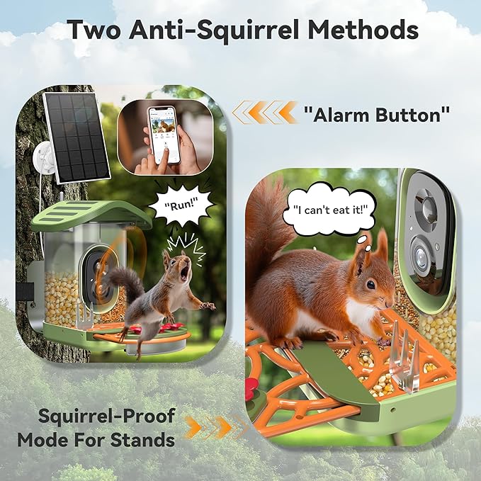 Rayki Smart Bird Feeder with Camera Solar Powered, 2k Hd Live Video & Ai Identification 10,000+ Bird Species, Outdoor Watching Birdhouse for Garden, Ideal Birthday, Christmas Day Gift for Lover