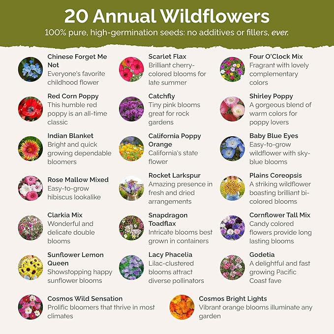 Eden Brothers Annual & Perennial Wildflower Seed Bundle for Planting – 39 Non-GMO, Pollinator Friendly Flower Seed Varieties – Plant in Spring, Zones 3, 4, 5, 6, 7, 8, 9, 10