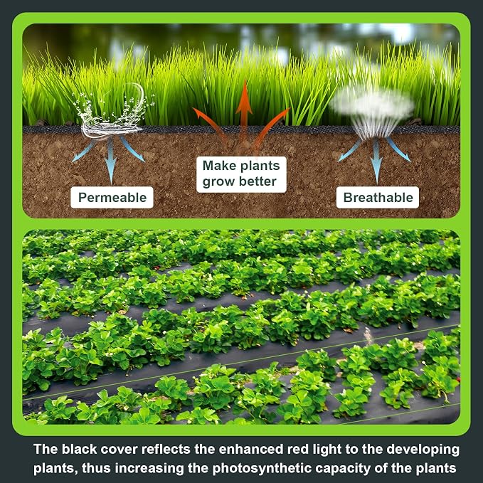 2PCS Weed Barrier Landscape Fabric, 33 x 3.3 Ft Garden Weed Barrier Fabric Heavy Duty with Planting Holes, Ground Cover Weed Barrier Weed Cloth with 20 U-Shaped Ground Nail for Weed Control
