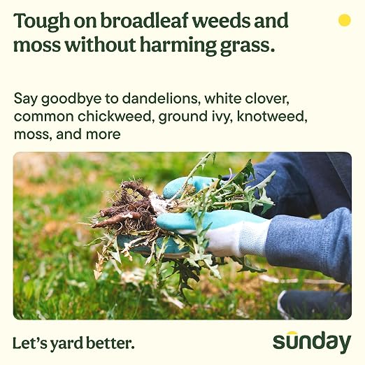 Sunday Dandelion Doom Concentrate Kit, Lawn Weed Killer for Spot Treatment, Kills Dandelion, Clover, Chickweed, Moss Without Harming Grass, (2) 5 fl oz Concentrate + Reusable Pouch + Wand Sprayer
