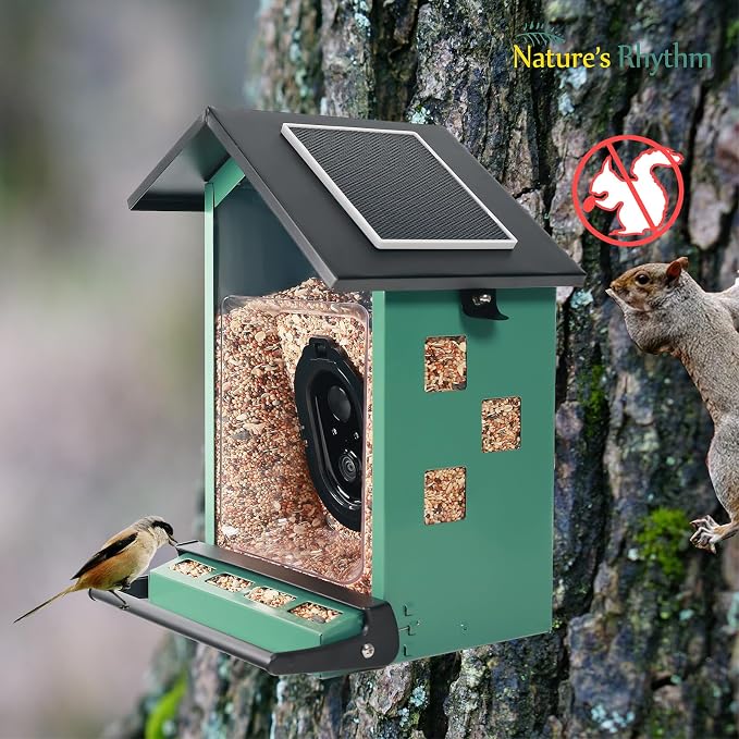 Bird Feeder Squirrel-Proof Bird Feeder with Camera Watch the Birds Feed