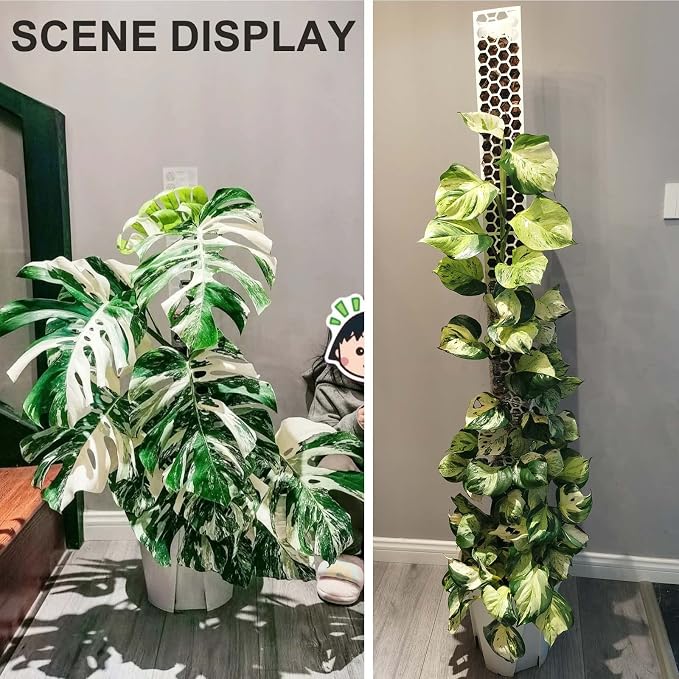 8 Pack 17 Inch Plastic Moss Pole for Monstera | Stackable Plant Support for Indoor Climbing Plants, Durable Plant Stake for Philodendron & Pothos