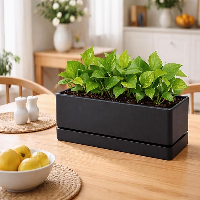 D'vine Dev 12 Inch Window Box Planter, Rectangle Plastic Herb Planter with Drainage Holes and Saucer, Indoor Succulent Cactus Vegetable Pot for Windowsill, Garden Balcony, Black, Set of 2, 76-X-B-2
