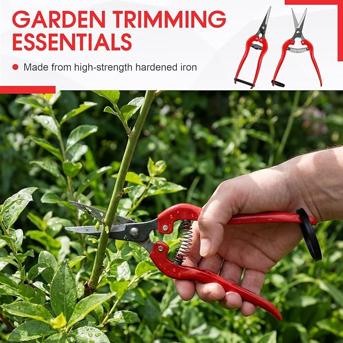 36 Pcs Straight Pruning Shears Florist Multi-tasking Garden Scissor Leaf Trimmer Floral Fruits Picking Sharp Gardening Snips for Arranging Flowers Harvesting Herbs Fruits Vegetables