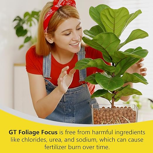 Growth Technology GT Foliage Focus - Liquid Indoor Plant Food for Houseplants, Tropical Plants, Aroids, Ferns and Palms – Concentrated Formula for Vibrant Leaves and Dense Foliage – 1 Quart (946 mL)