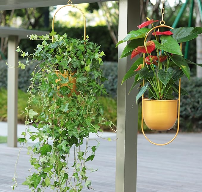 Cornasee 5.5" Gold Metal Hanging Planter for Home Decor/Fence/Balcony/Window,1-Pack Railing Planters Vintage Flower Pot with Detachable Hooks for Herb,Cactus