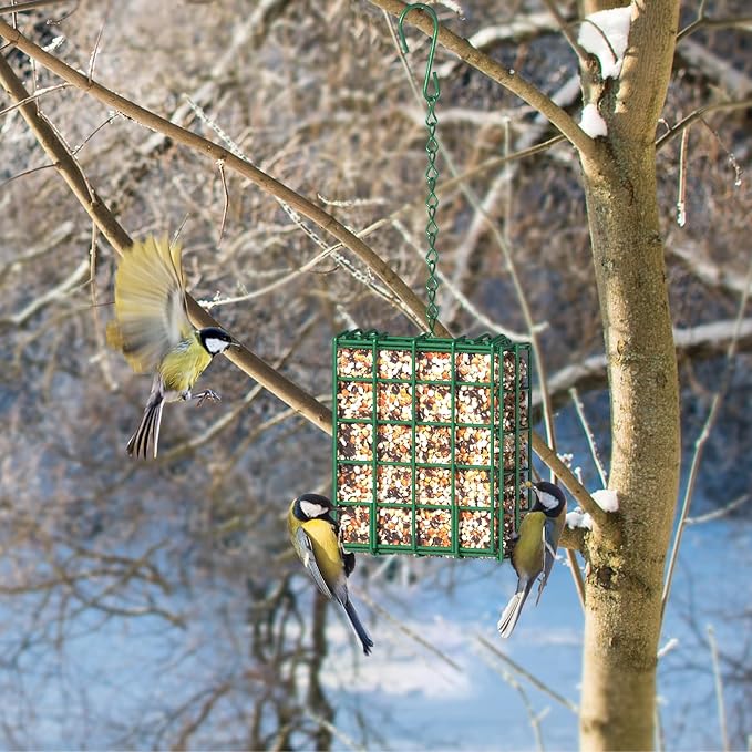 FLINTER Bird Feeder for Outdoors, Suet Feeder Hanging Bird Feeder, Hanging for Garden Yard Outside - Single Suet Cake Feeders fo Attracting Birds, Green