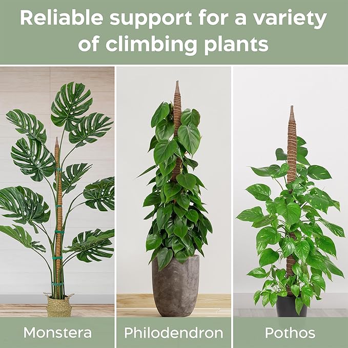 2 Pack 63'' Bendable Moss Pole Monstera Plant Support for Large Climbing Indoor Plants - Stakes for Potted Climbers - Tall Sticks Indoor Trellis for Houseplants - Accessories for Monstera Pot