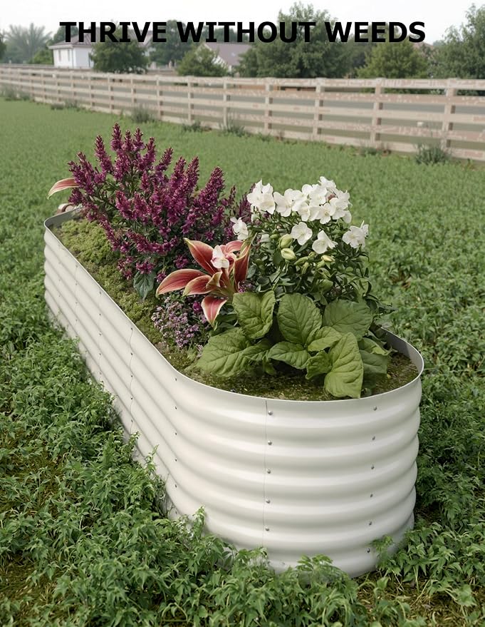 GarveeLife 8x2x1.5 ft 2-Pack Raised Garden Bed - Galvanized Steel Outdoor Planter Box for Vegetables, Flowers & Herbs - Durable Rust-Resistant Garden Box, Easy Assembly Raised Beds for Gardening,Beige