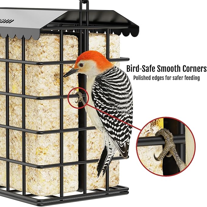 Birdream Double Suet Bird Feeders for Outdoors, All Metal Bird Suet Cakes Cage Holder with Weatherproof Roof, Easy to Refill & Clean, Attract Woodpeckers, Chickadees, Nuthatches, Black