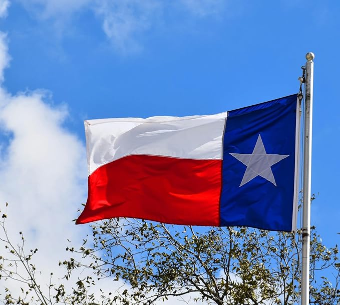 YASUN State of Texas 3x5 FT Flag, Premium Texas Flags Heavy Duty Outdoor High Wind Flag, Vivid Color, Durable Brass Grommets - Longest Lasting USA Flags