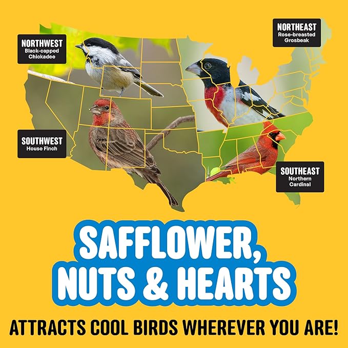 Cool Birds Safflower, Nuts & Hearts Wild Bird Seed – 10 lb. Gourmet Bird Food with Safflower, Sunflower Hearts & Peanuts – No Corn, Milo or Millet, No Waste Bird Food for Outside Feeders