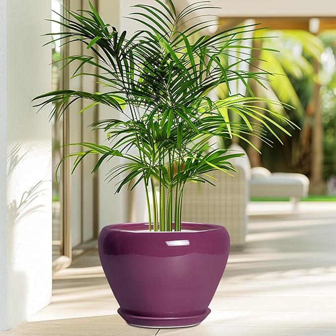Ceramicfor Ceramic Planter - 8 Inch Plant Pot Indoor with Drainage Hole and Saucer, Glaze Decorative Planter, Round Flower Pot, Plant Lover Gifts, Home Garden Office Decor, Purple