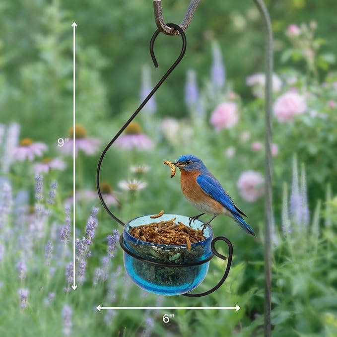 Bluebird Mealworm Feeder - Sparkling Blue Glass Bowl with Decorative Hanging Hook - Removable Cup for Easy Cleaning - Dried or Live Mealworm Feeder for Bluebirds Outdoors