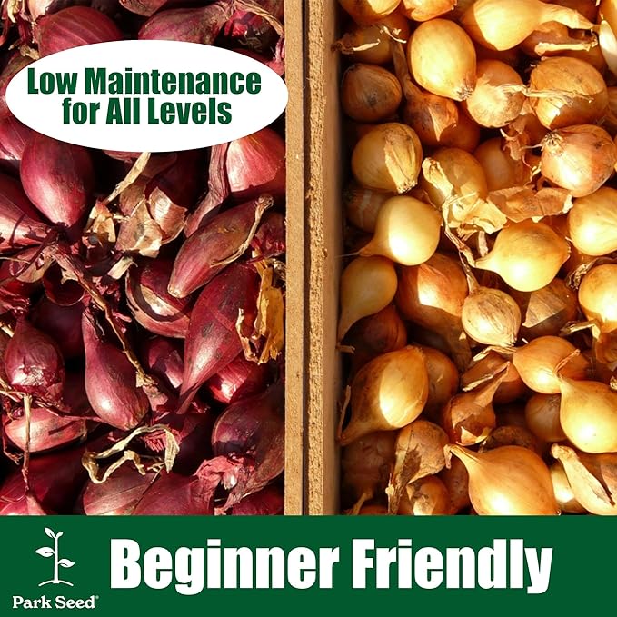 Park Seed Walla Walla Sweet Onion Seeds – Cold-Hardy Long-Day Variety, Ultra-Mild Flavor, Early Maturing for Northern Gardens, Large White Bulbs with Tan Skin, 100–120 Days – Pack of 200 Seeds