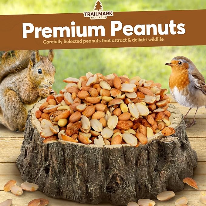 11 LB - Raw Shelled Peanuts for Squirrels, Out of Shell Peanuts for Birds and Wildlife- Squirrel Food, Wild Bird Seed - Grown in The USA