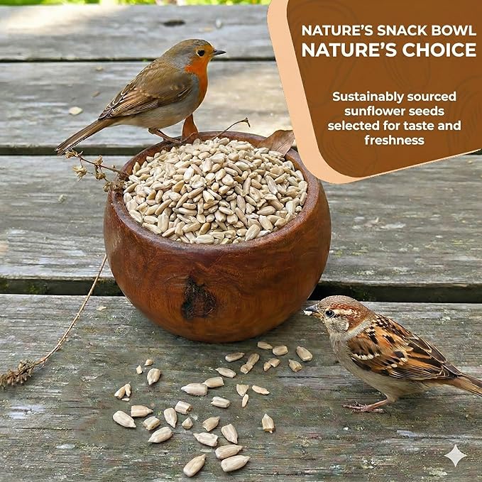 25 LB Medium Sunflower Chips, Shelled Seeds for Birds – Premium Wildlife & Bird Food – Grown in USA - Non-GMO - Medium Chip Sunflower Seeds for Wild Birds and Backyard Feeders