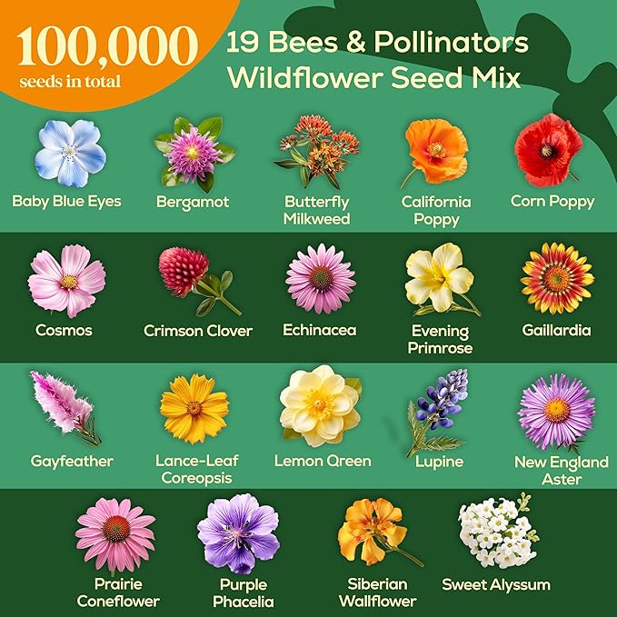 Seedphony 19 Bee Wildflower Seeds Mix 4oz - 100,000 Non-GMO Heirloom Seeds for Planting, Perennial Flowers in Waterproof Seed Packet, Flower Seed Mix for Pollinators, Planting Garden Indoor & Outdoor