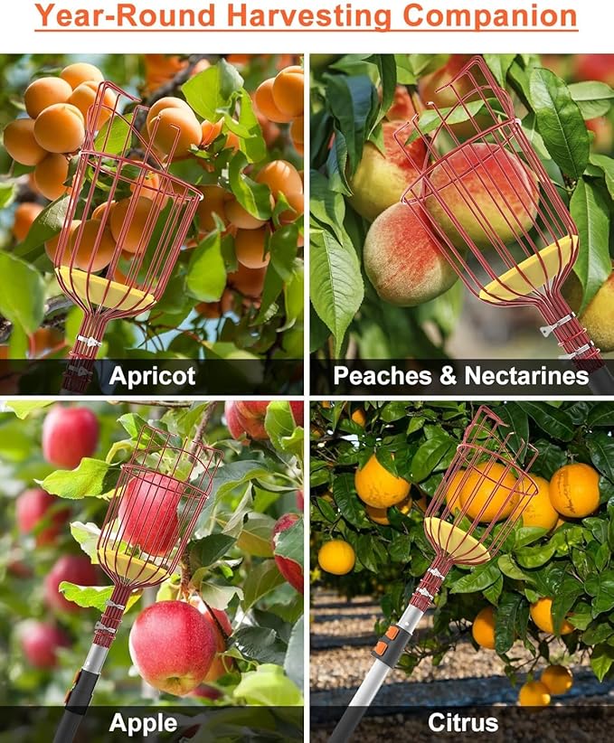 AgiiMan 28 Reach Fruit Picker with Telescopic Extension Pole, 5 to 20 FT Fruit Picker Pole Lightweight and Sturdy Aluminum Telescopic Pole, Easy to Assemble Fruit Picking Basket