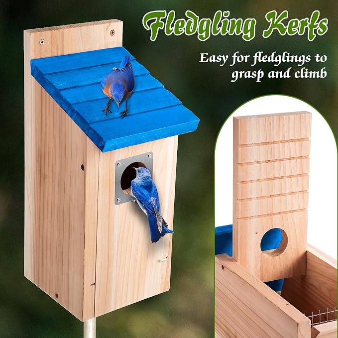 Dreyoo 3 Pack Bluebird Box Houses for Outside,1-1/2'' Entrance Hole Wooden Bird Houses with Metal Guard, Secure Latch,Fledgling Grooves,Air Vents for Bluebird Wren Swallow (Blue Roof,Wood Body)