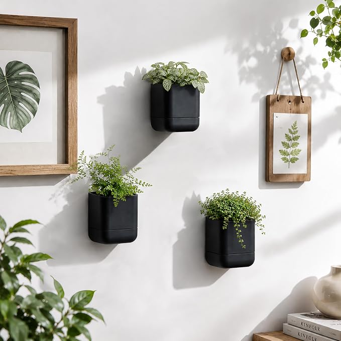 Phoenix Vine 3.5 Inch Wall Mounted Self-Watering Planter Pot for Indoor Houseplants and Herbs | Hanging Planter for Window Sills, Bathroom Walls, Home & Office Décor, Black, Set of 2, 01-A-E-2