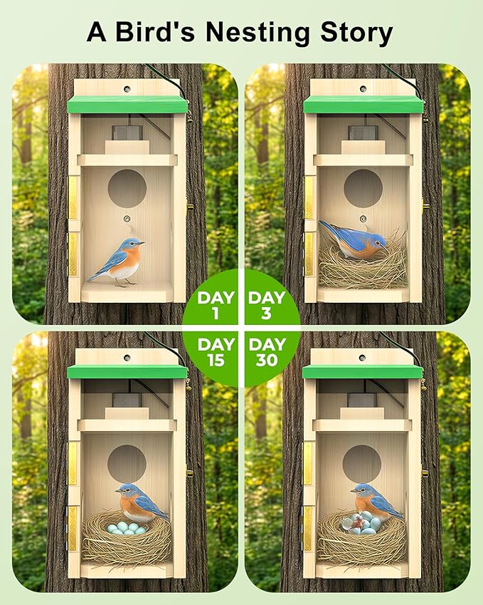 Bird House with Camera Solar Powered, Wi-Fi,Motion Detection & Night Vision,Pine Wood Birdhouse with Camera Inside,Ideal for Backyard & Nature Lovers(Light Green)