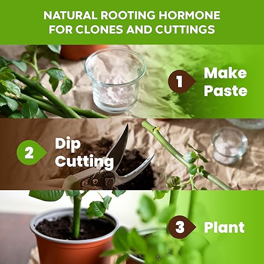 Big Foot Probiotic Root Boost Water Soluble Powder For Established Plants and Transplants - GROW ROOT SIZE, Increase Nitrogen, Grow New Plants from Cuttings, Pea Inoculant - 2 Ounces