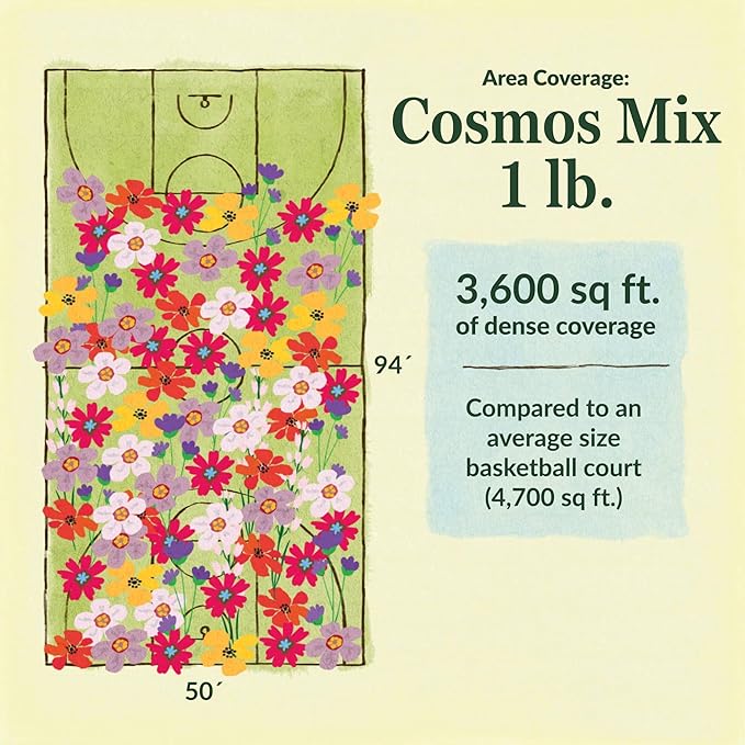 Ferry Morse Flower Seeds - Non-GMO, Full Sun, Outdoor, Cosmos Mix - 1 lb
