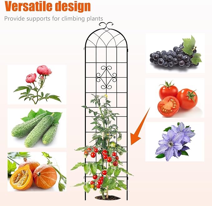 LZRS 4 Pack 78.7x20in Rustic Iron Arch Decoration Garden Trellis with Black Metal Coating – Perfect for Supporting Climbing Plants Outdoor, Roses, Vines, Flowers, and Vegetables.