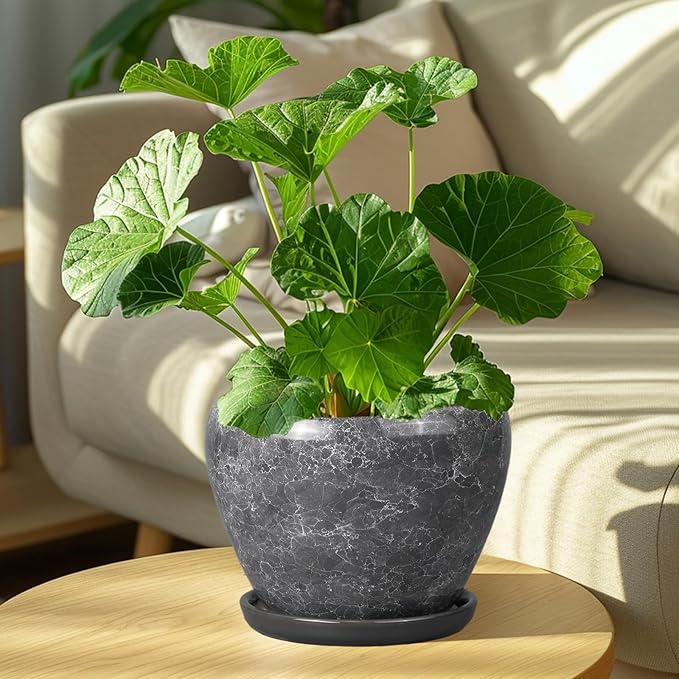 Ceramicfor 8 Inch Plant Pot - Ceramic Planter Pot with Drainage Hole and Saucer, Glaze Garden Pot Modern Flower Pot for Indoor Plants, Gray
